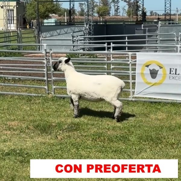 foto_rp_607_1517879895