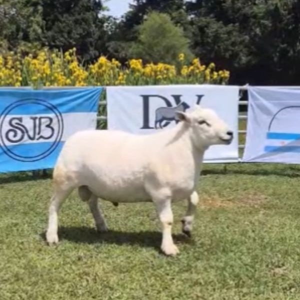 foto_rp_61_1620498749