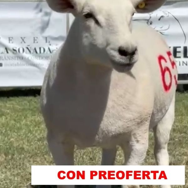 foto_rp_65_1519889866