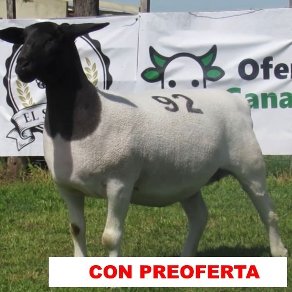 foto_rp_92_320027118