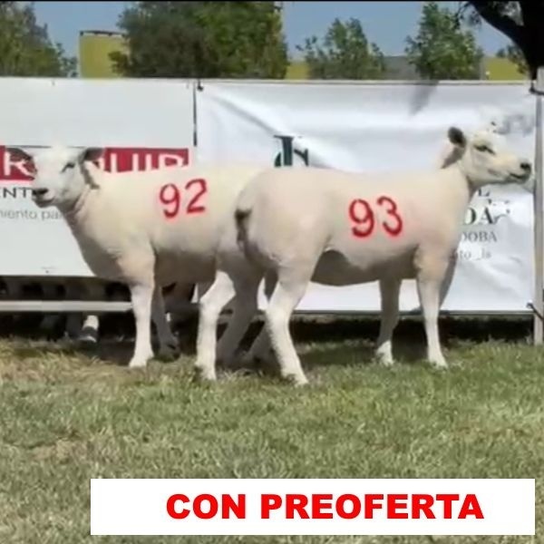 foto_rp_92_y_93_1698867520