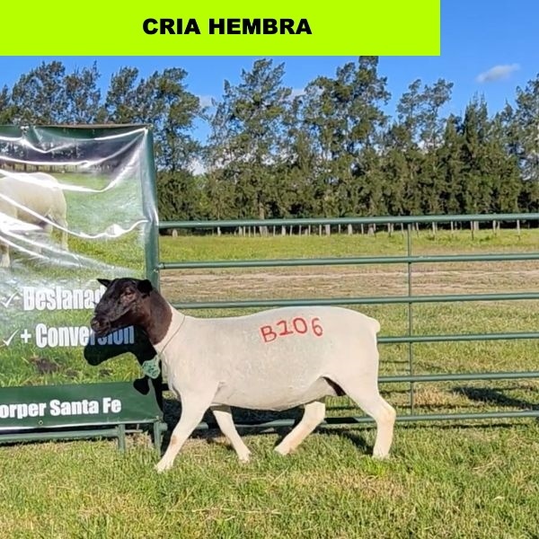 foto_rp_b106_571322488