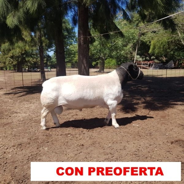 foto_rp_b5_1238391311