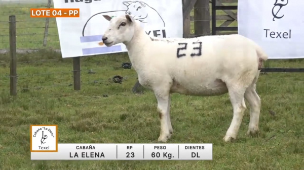 lote-04-la-elena_1657220784