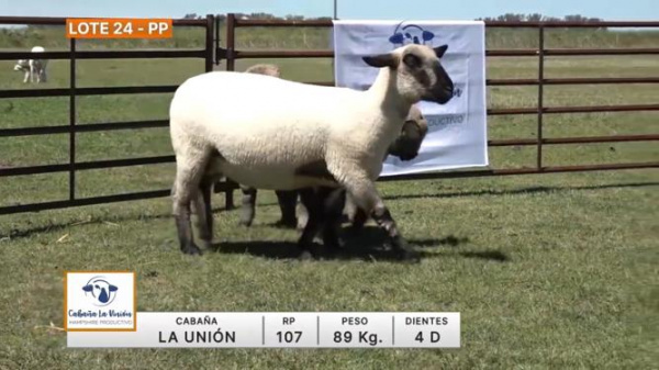 lote-24-la-union_970840239