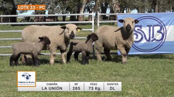 lote-33-la-union_1595292306