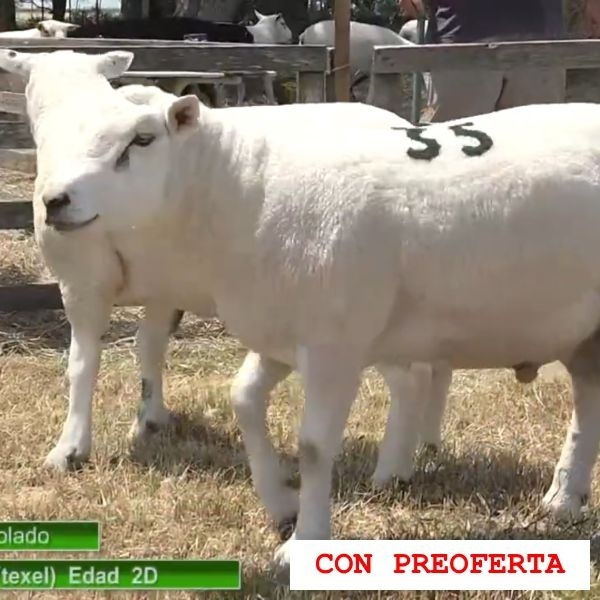 lote30-rp34-35_255634351