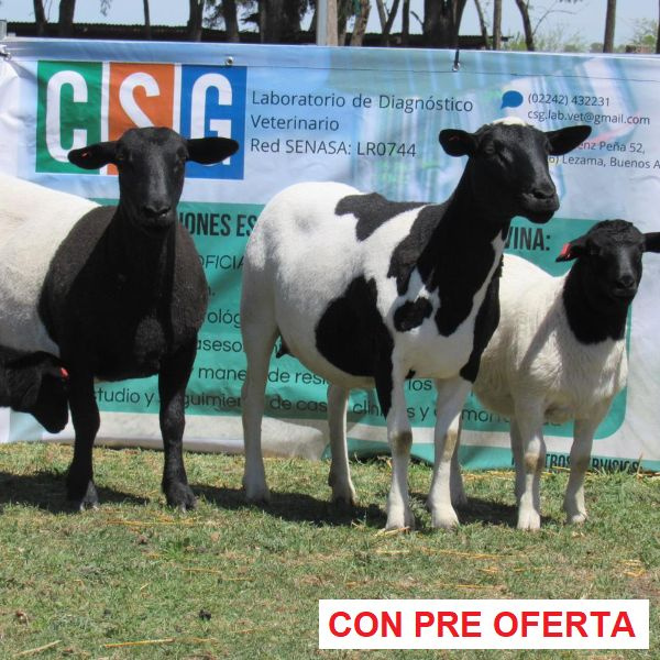 rp_138_y_129_1235045085