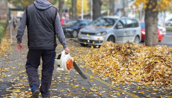 Spring & Fall Cleanup