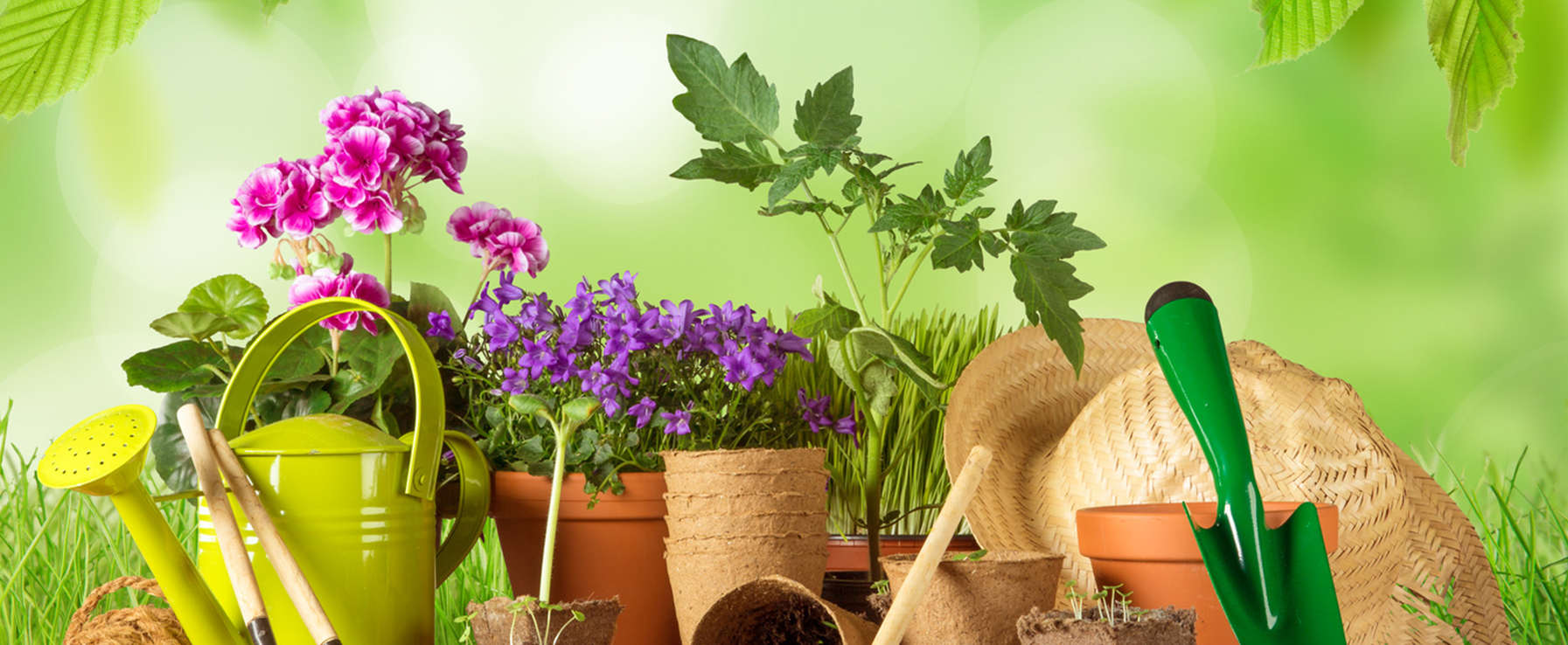 Full garden care services