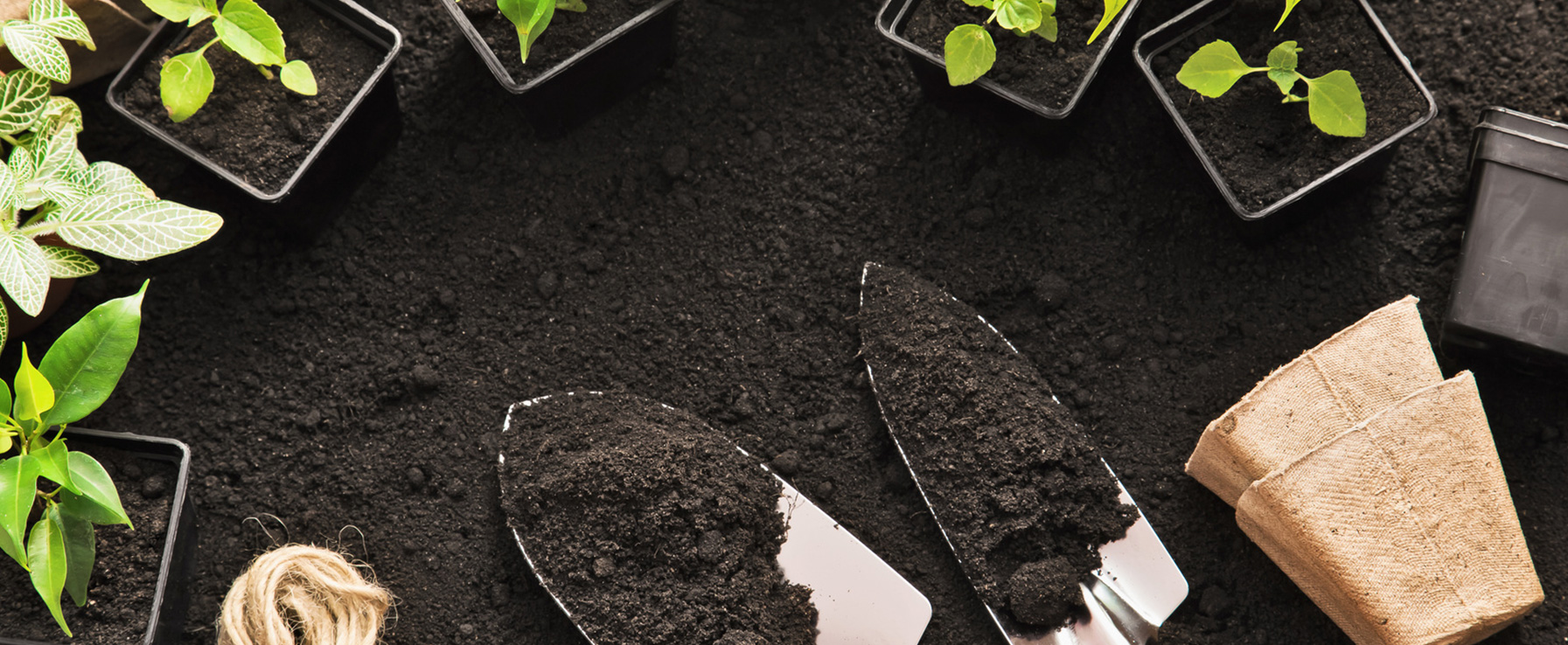 We Can Create an Environment That’s Beyond Your Imagination.